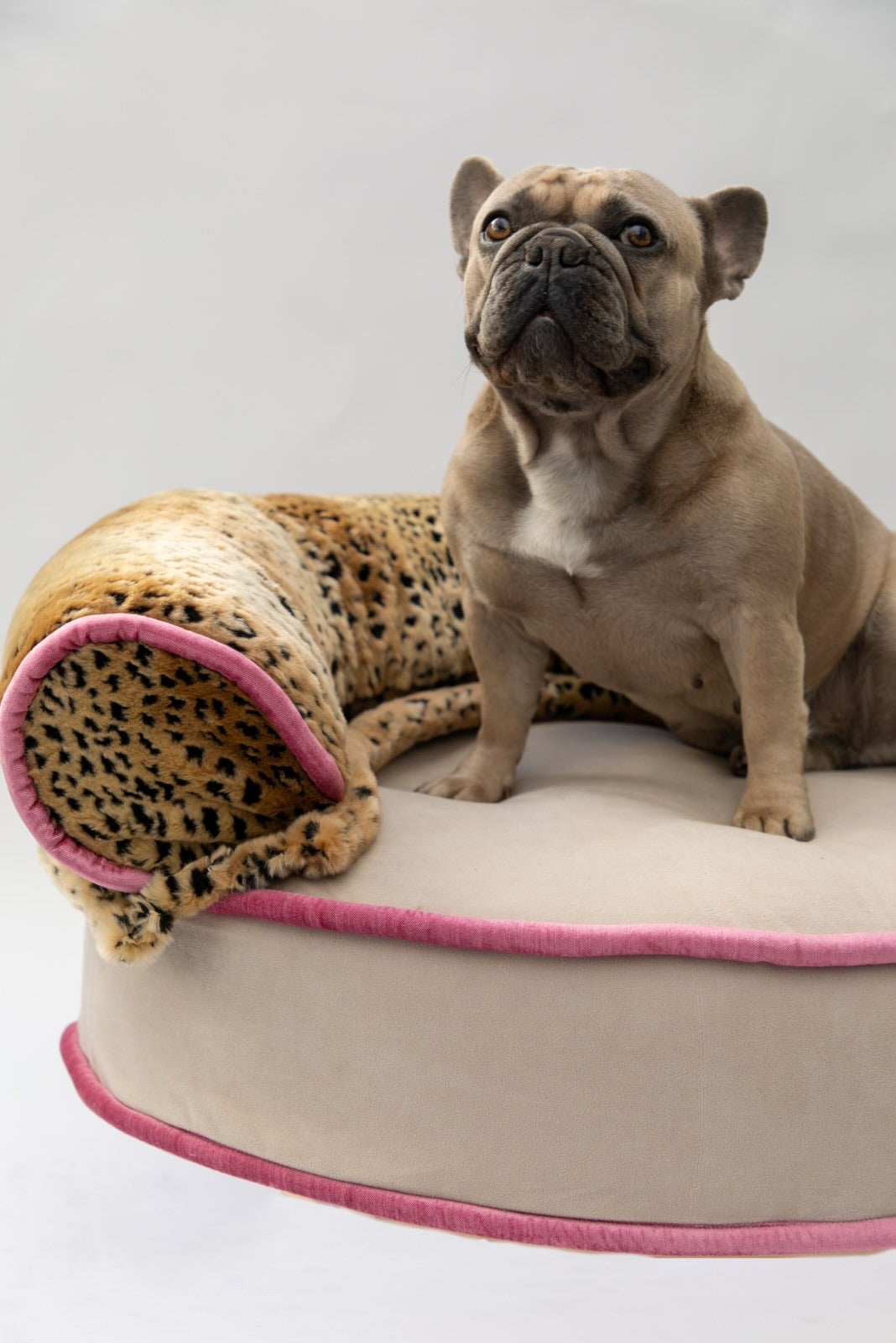 The Diva Bed
