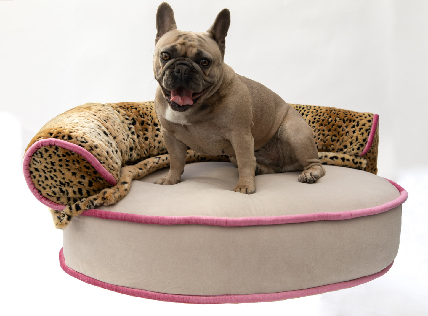 The Diva Bed