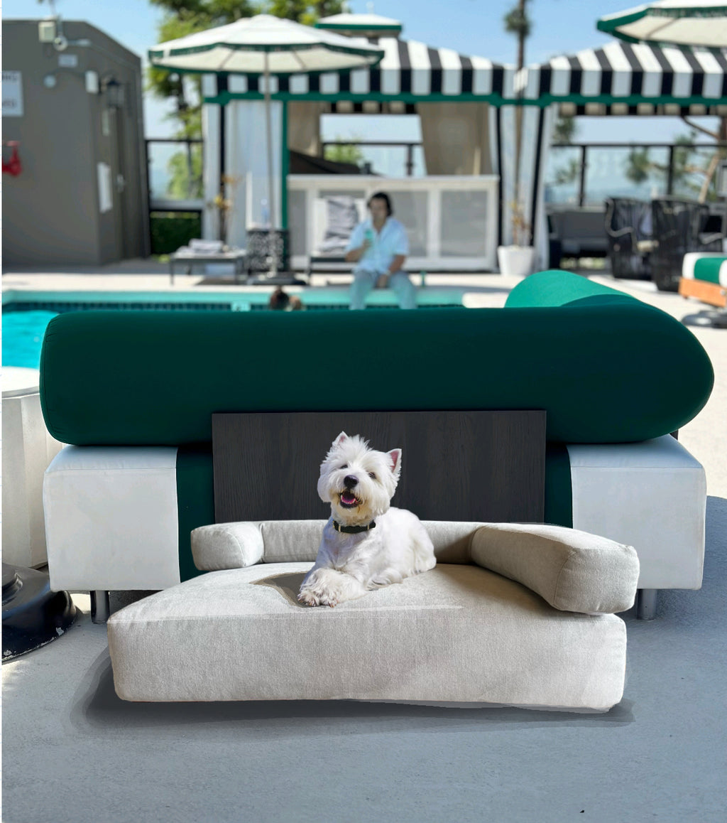 The Minimalist Bed
