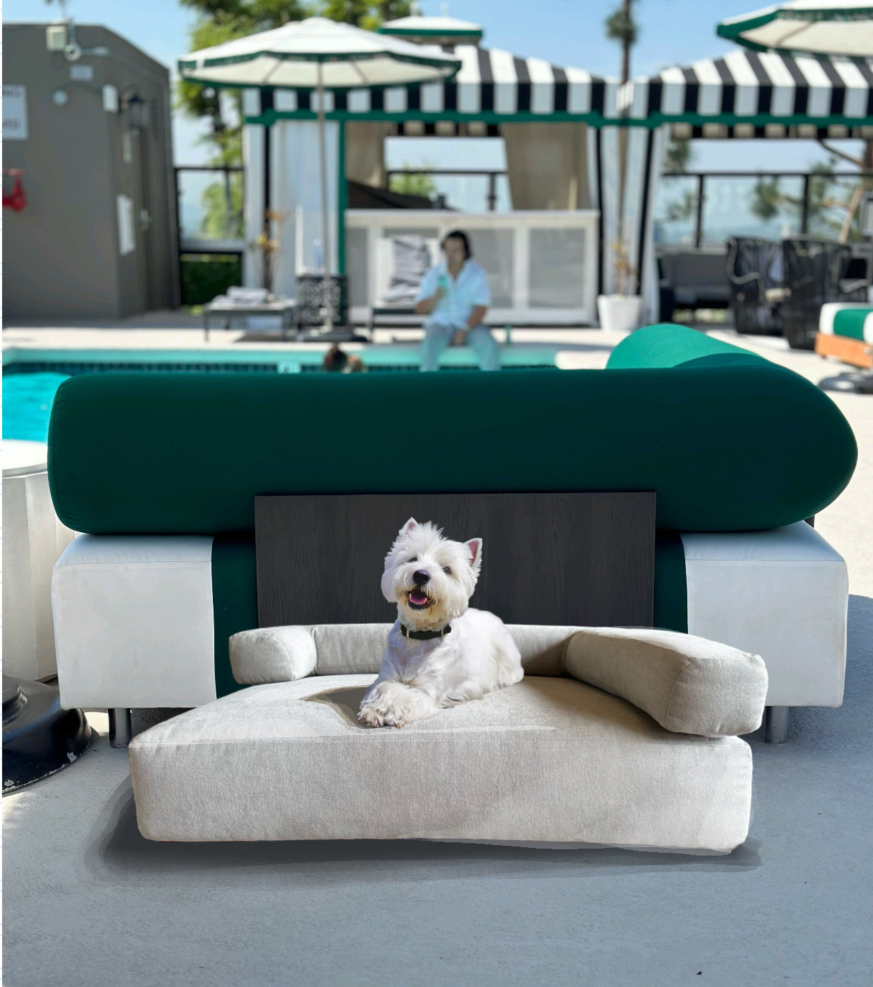 The Minimalist Bed